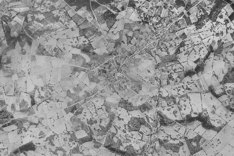 Ortofoto de 1956-1957 del núcleo de Roelos de Sayago