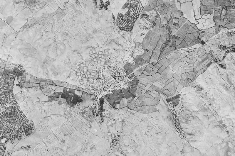 Ortofoto de 1956-1957 del núcleo de Codo