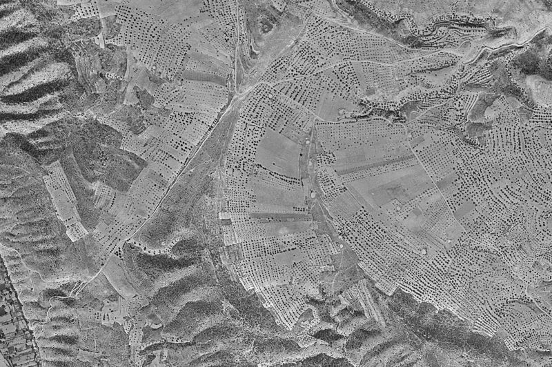 Ortofoto de 1956-1957 del núcleo de Fayón