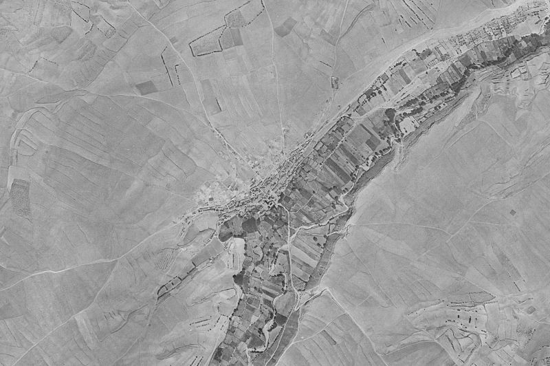 Ortofoto de 1956-1957 del núcleo de Plenas